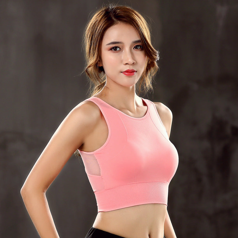 Breathable seamless padded sports bra for women in multiple colors