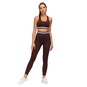 Women’s leopard print seamless high waist yoga set in multiple colors