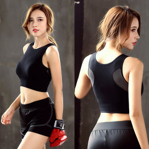 Breathable seamless padded sports bra for women in multiple colors