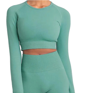 Seamless long sleeve yoga set with high elasticity in multiple colors