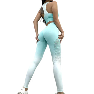 Seamless women's yoga pants in various colors for fitness and gym workouts