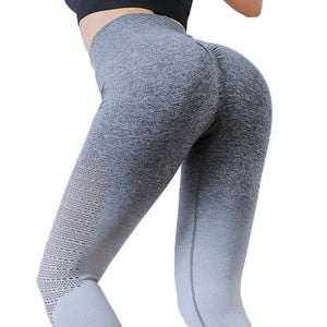 Seamless women's yoga pants in various colors for fitness and gym workouts