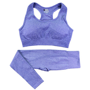 Seamless women's high waist yoga set with crop top in multiple colors